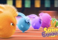 Sunny Bunnies | A corrida | Desenhos animados | WildBrain em Português 3