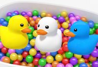 Evan Kids | Learn Colors | Rubber Duck and Colorful Ball for Kids, Ball Pit Show 1