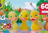 Five Little Ducks - THE BEST Songs | LooLoo Kids 1