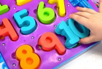 Learn Numbers and Counting with Genevieve and Cookie Monster! 2