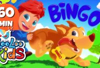 Bingo - Amazing Songs | LooLoo Kids 1