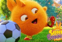 Sunny Bunnies | Time de futebol | Final da copa do mundo | Desenhos animados |WildBrain em Português 2