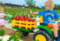 Chris and Mom learn to harvest berries at the farm 13