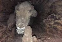 unearthing the terrifying secrets of ancient caves: a prehistoric archaeology discovery 16