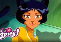 🔎🌸 Spies vs. Cats 🐱 Totally Spies | Cartoon Compilation 15