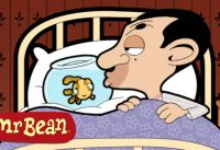 👔🐻 Bean the Animal Lover 😅 Mr Bean | Cartoon Compilation 13